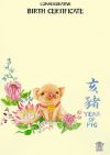 Year of the Pig