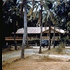 The superintendent&rsquo;s residence at Aurukun, circa 1959-60