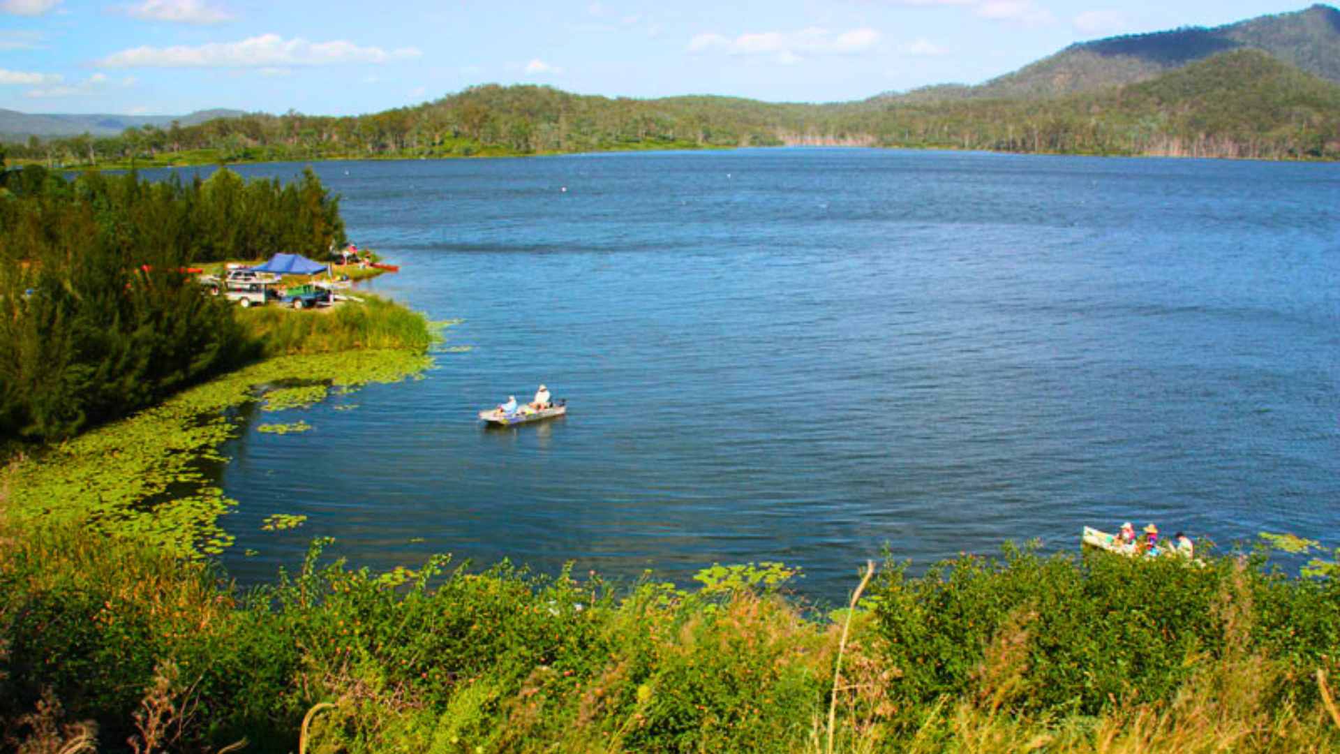 Trees growing in shallow water at Wyaralong Dam with hills behind.