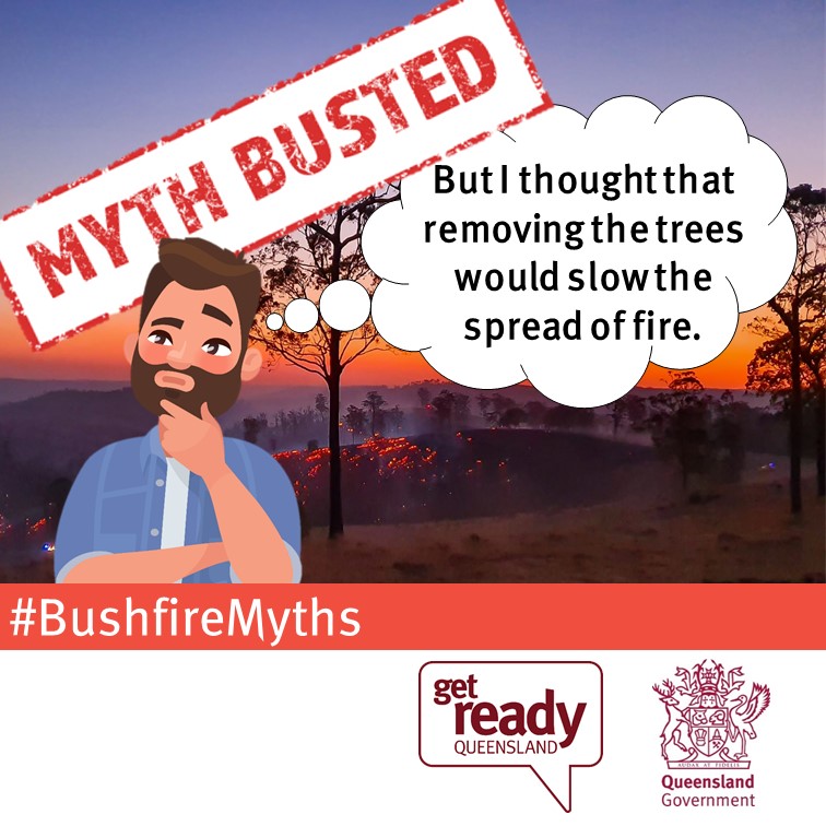 Myth busted - removing trees Myth busted! – “But I thought that removing trees would slow the spread of fire.”