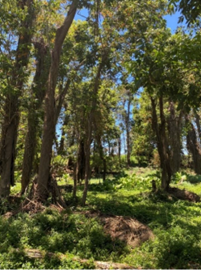 Photo of Logan River