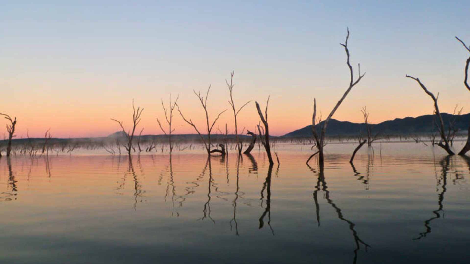 Misty sunrise over Peter Faust Dam with drowned trees silhouetted.