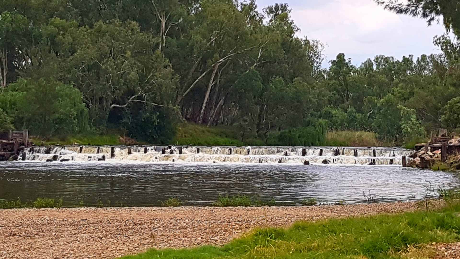 Low weir with water flowing over concrete blocks and bushland behind.