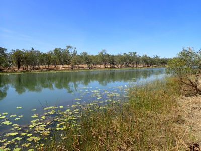 Boomerang Lagoon – Abingdon Downs North Nature Refuge – Gulf Plains