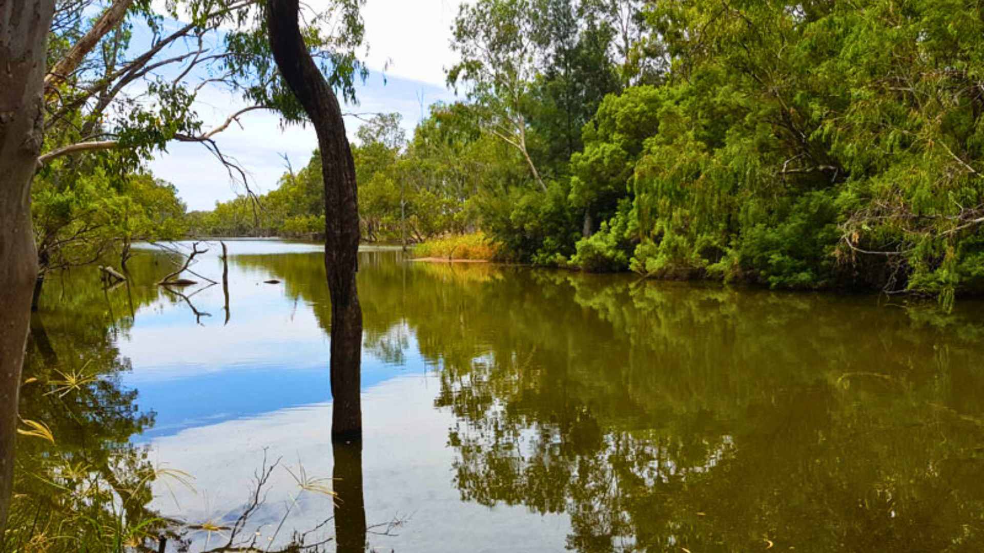 Calm water at Ben Dor Weir with overhanging trees and reflections along the banks.