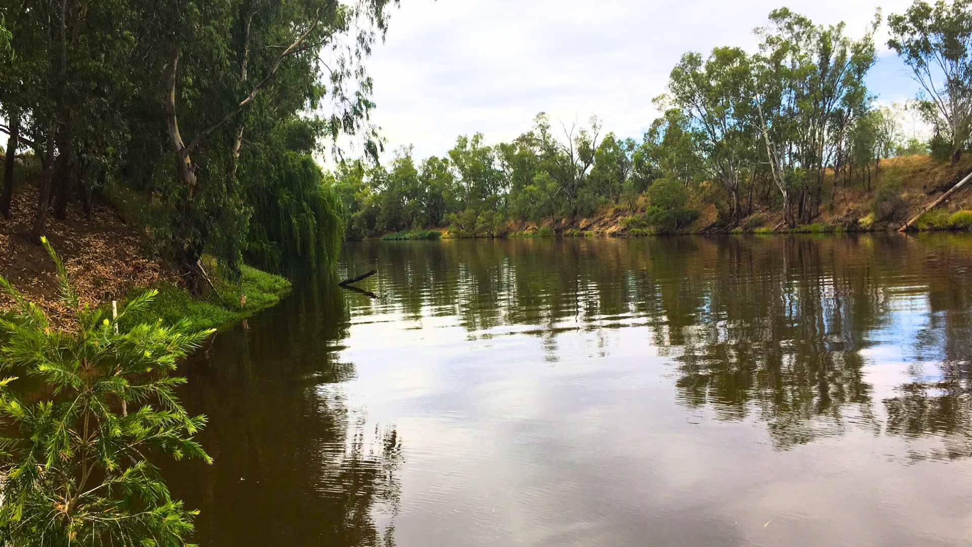 Wide river pool at Paul Hilton Weir with calm water and tree-lined banks.