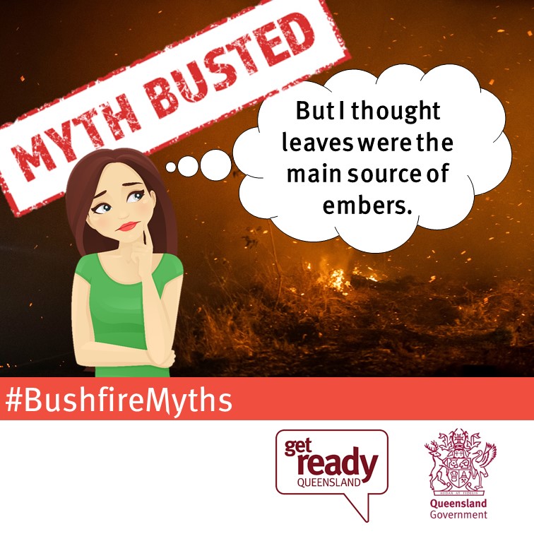 Myth busted - leaves main source of embers Myth busted! – “But I thought leaves were the main source of embers.”