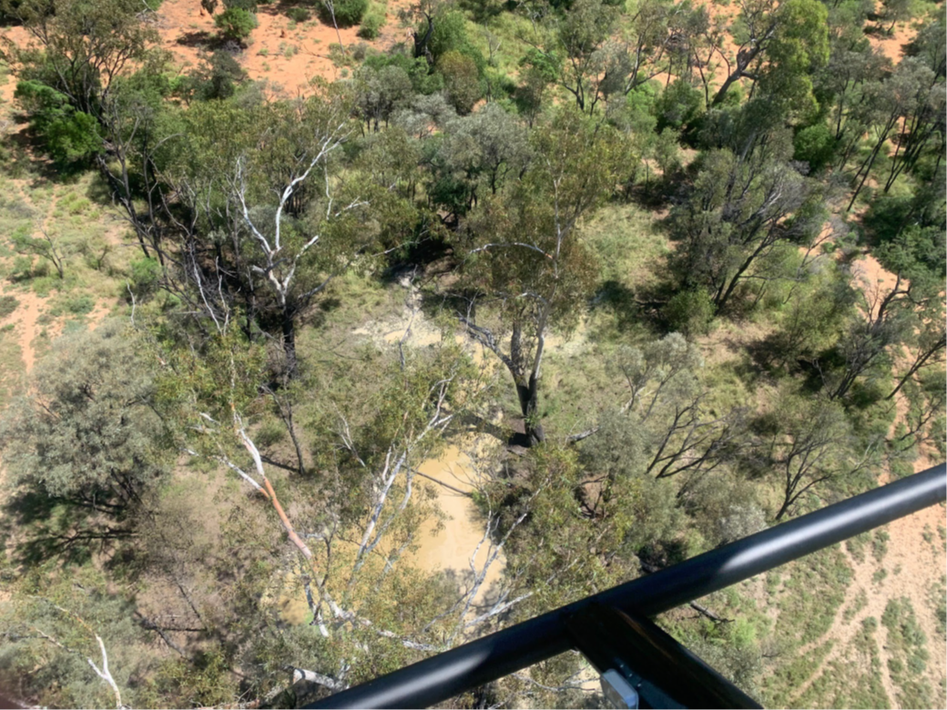 Photo of large wallow.