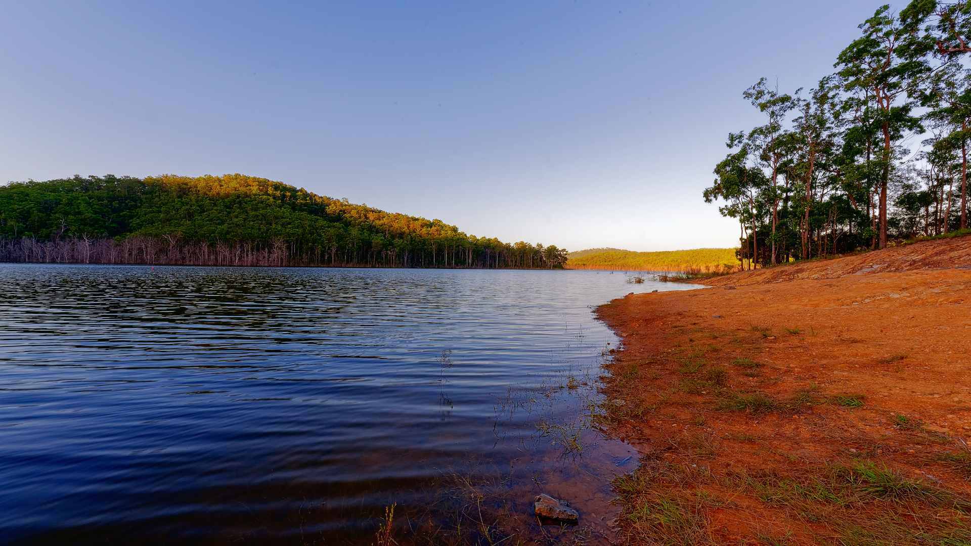 Shoreline of Hinze Dam with still water, red earth banks and forested hills.